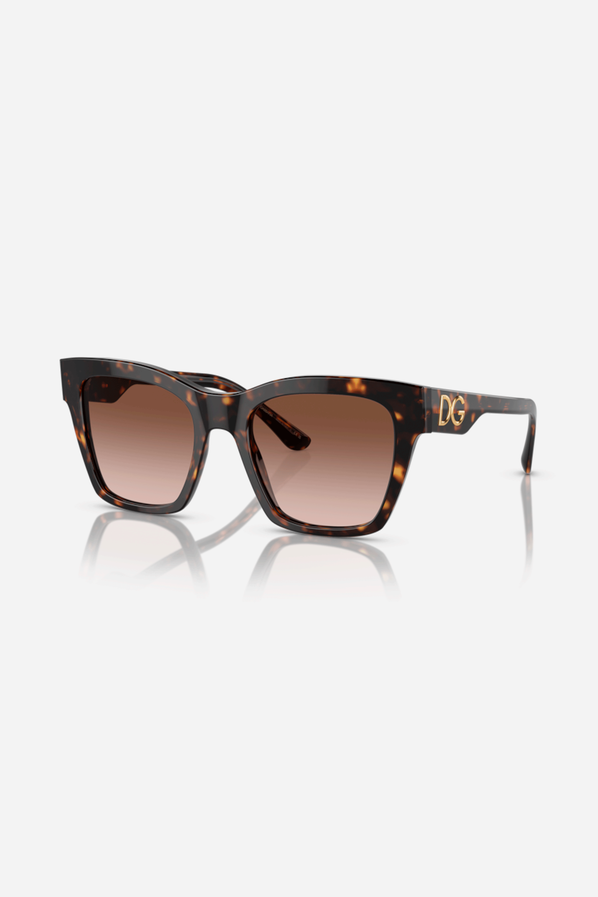 Dolce & Gabbana DG4384 502/13 53